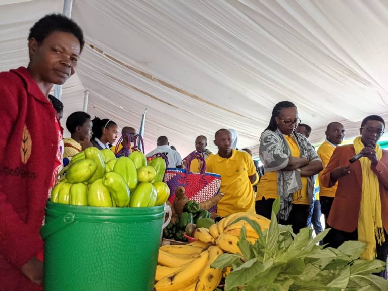 Nyamasheke: Igwingira ryiyongereye mu miryango yugarijwe n’amakimbirane