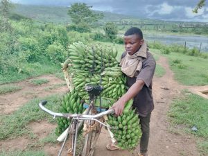 Kayonza: Bategesha 8000 Frw baremye isoko ribegereye muri Gatsibo
