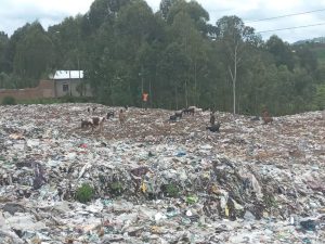 Isazi zisangira n’abaturiye Ikimpoteri cy’Umujyi wa Musanze
