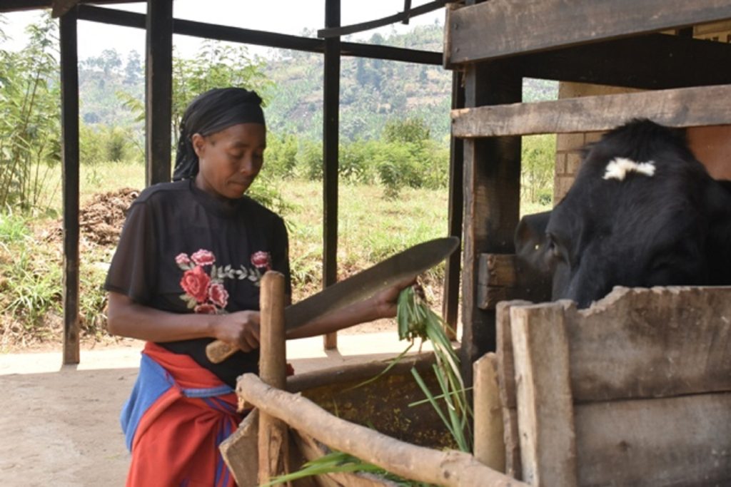 Nyabihu: Gahunda y’Igikumba cy’Umudugudu yashimangiye ubumwe n’ubwiyunge