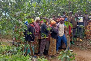Nyamasheke: Abasore 2 bavukana bafungiwe kwica nyina bamunize