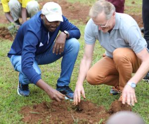 Sobanukirwa uruhare rw’ibiti mu gukiza indwara vuba