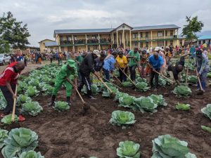 Rusizi: Ubuhinzi bw’imboga bwafashije ishuri kuzigama miliyoni 6 Frw buri gihembwe
