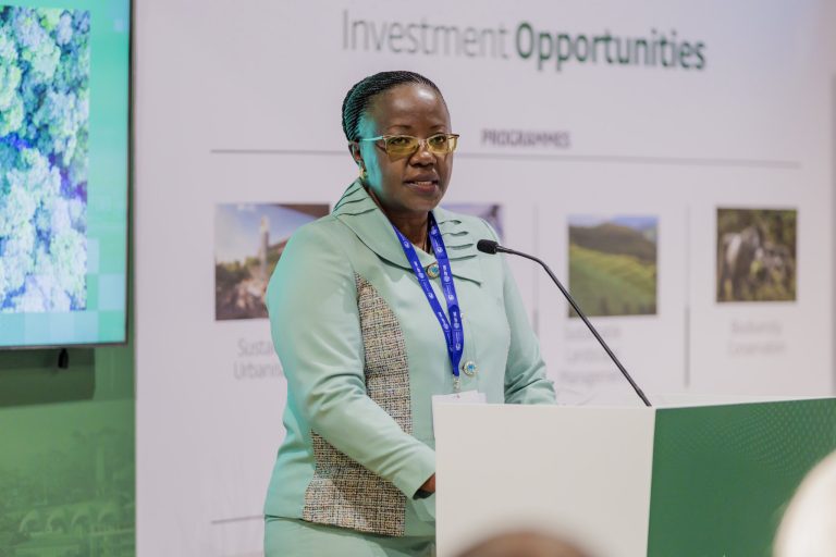 Muri COP28, hatangijwe isoko ry’u Rwanda rya Karubone