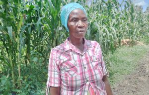 Nyagatare: Koperative zamugobotse agiye gusemberezwa n’amadeni umugabo yamusizemo