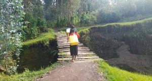 Musanze: Batewe impungenge n’ikiraro kibamugaza n’abana bagatinya kujya ku ishuri
