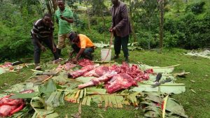 Musanze: Amatsinda yabaze inka 158 mu kwizihiza Ubunani