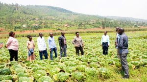 Kigali: Ihere amaso bimwe mu bikorwa by’amakoperative byasuwe n’Abasenateri