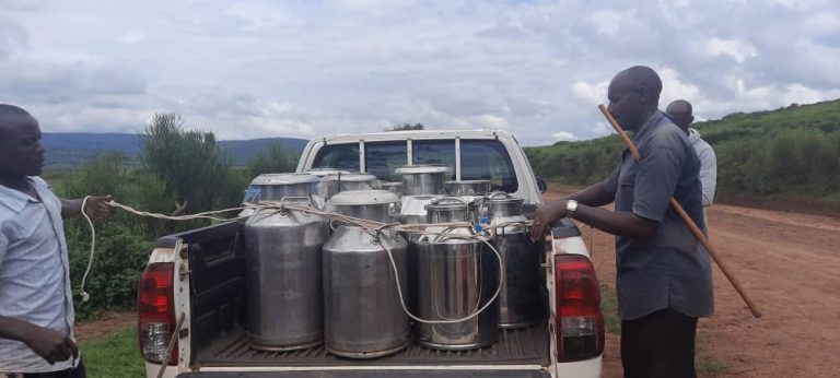 Kayonza: Kutabona isoko ry’umukamo wa nimugoroba bibateza igihombo