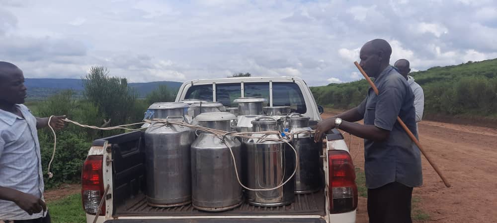 Kayonza: Kutabona isoko ry’umukamo wa nimugoroba bibateza igihombo