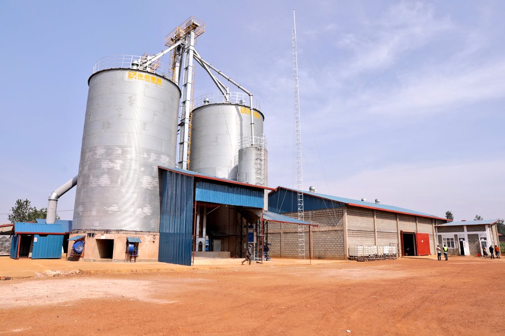 Abasenateri bazasura amakoperative 60 y’ubuhinzi n’ubworozi bagenzura ingamba zo kuyateza imbere