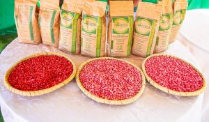 MINAGRI yatangaje amabwiriza ku nyongeramusaruro zunganiwe na Leta