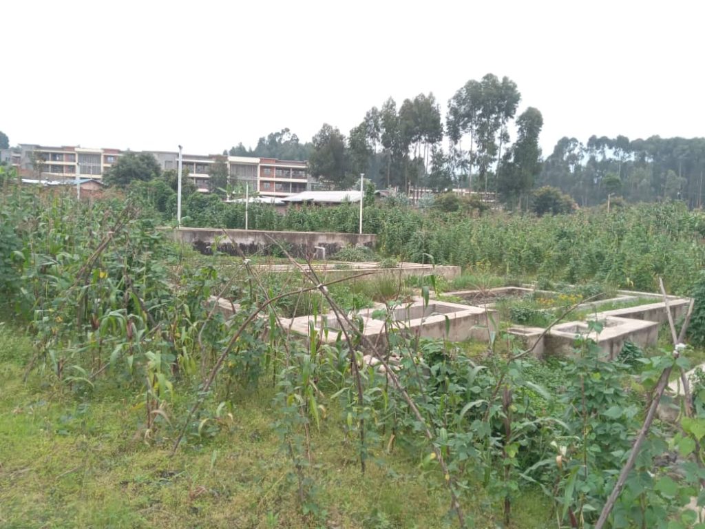 Abaturiye Umudugudu w’icyitegererezo wa Kinigi barasaba guhabwa ingurane bakimuka