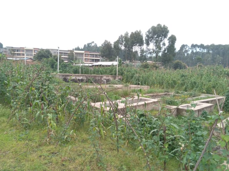 Abaturiye Umudugudu w’icyitegererezo wa Kinigi barasaba guhabwa ingurane bakimuka