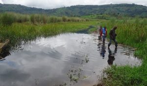 Rusizi: I Giheke bazengerejwe n’inzoka zo mu nda kubera kuvoma ibishanga