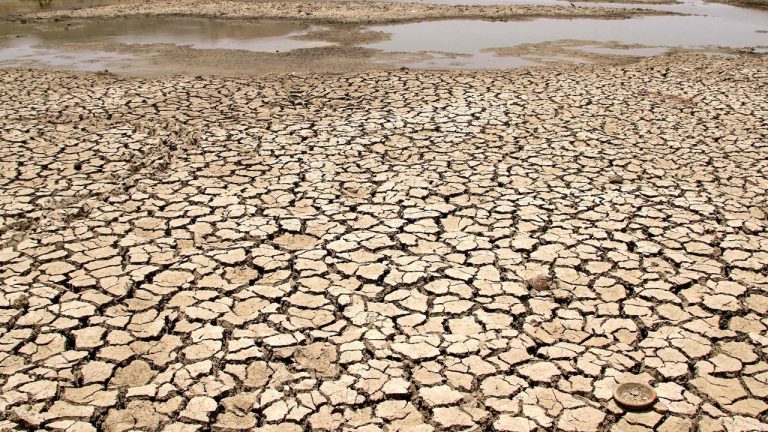 Zimbabwe: Abaturage miliyoni zisaga 2 bugarijwe n’inzara yatewe n’amapfa