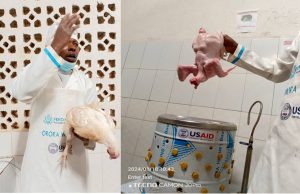 Amabagiro y’inkoko 2 gusa ni yo yemewe mu Rwanda