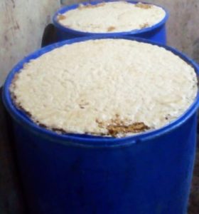Musanze: Umutobe bita “Umuzefaniya” ukomeje gusindisha abantu bakaragira inyoni