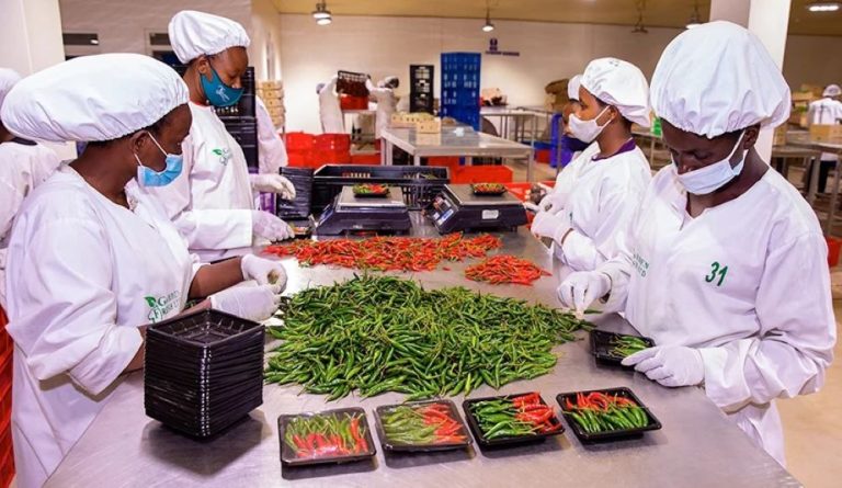 Agaciro k’ibyo u Rwanda rwohereje mu mahanga kagabanyutseho 8.7%
