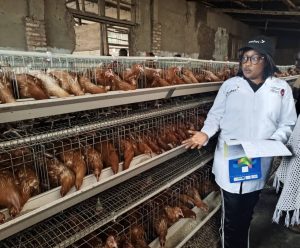 Rwamagana: Uwahereye ku nkoko 3 ageze ku ishoramari rya miliyoni 31
