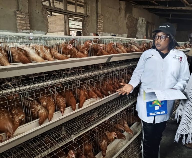 Rwamagana: Uwahereye ku nkoko 3 ageze ku ishoramari rya miliyoni 31