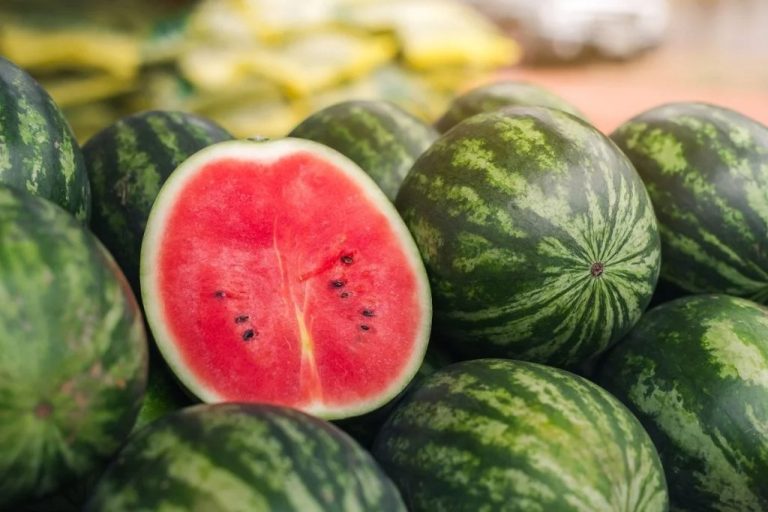 Inama zigirwa abahinzi b’imbuto by’umwihariko water melon
