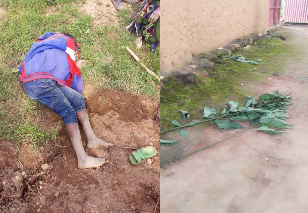 Musanze: Bavugutiye imiti umunani bakekwaho ubujura, umwe ata ubwenge
