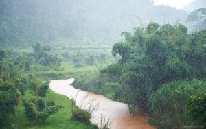 Mu itumba 2024 hateganyije imvura idasanzwe –Meteo Rwanda