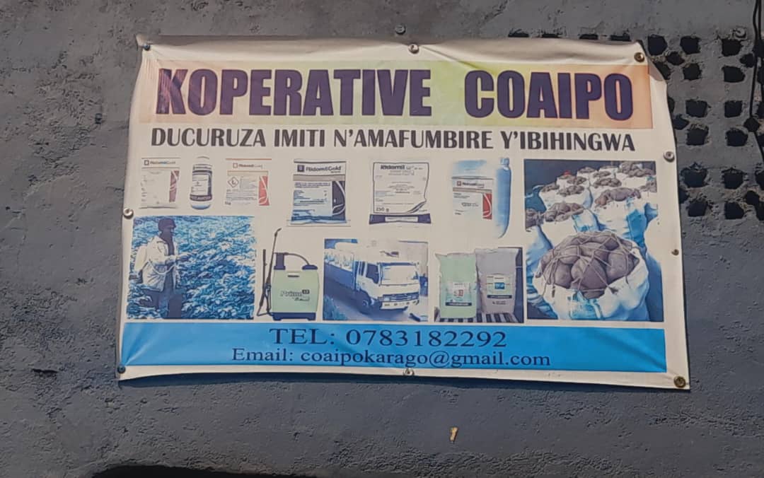 Hagiye gukorwa igenzura muri koperative ifite 1000 FRW kuri konti