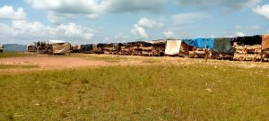 Muhanga: Abatijwe ahazubakwa sitade basabwe kutongera guhinga barashima