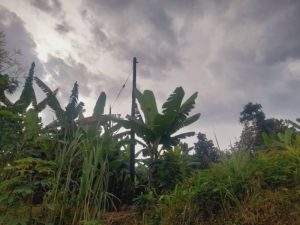 Musanze: Hari abaturage bashingiwe amapoto umwaka urashize nta muriro