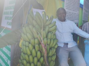 Nyagatare: Uwezaga igitoki cy’ibilo 20 asigaye yeza icy’ibilo 110