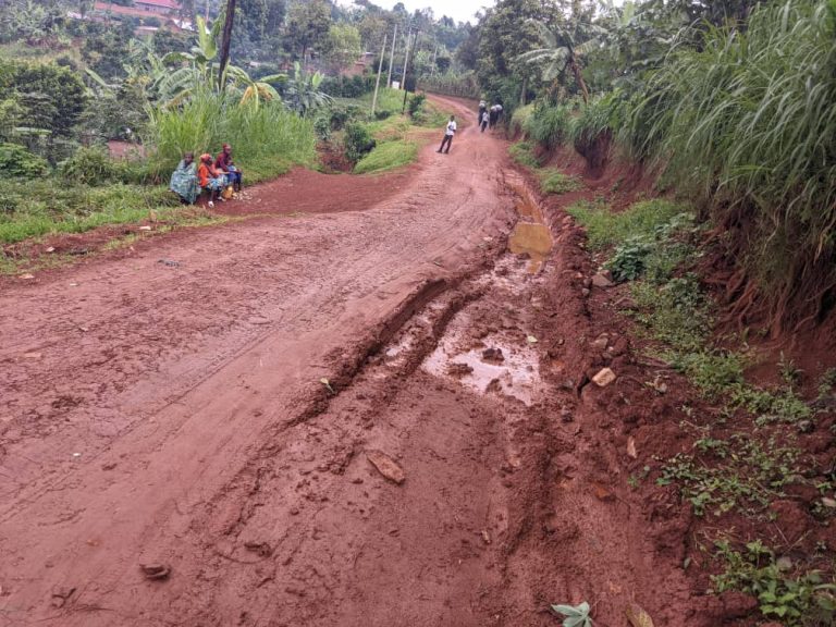Rusizi: Umuhanda mubi ugora abivuriza ku kigo nderabuzima cya Shagasha