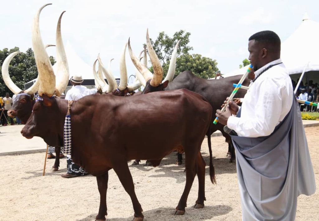 Inyambo zazamuye umubare w’abasura mu Rukari ugera ku bihumbi 50