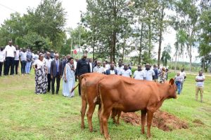Iburasirazuba: Abarokotse Jenoside 100   bongeye kwatsa igicaniro