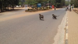 Nyagatare: Abaturage bishimira ingamba zashyizweho zo gukumira ibitera