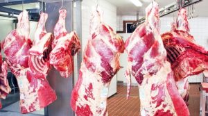 Ubworozi bw’amatungo magufi bwitezweho kuziba icyuho cya 37% cyo kutarya agatukura