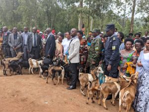 Nyamasheke:  Abarokotse Jenoside yakorewe Abatutsi 89 bemerewe amatungo magufi