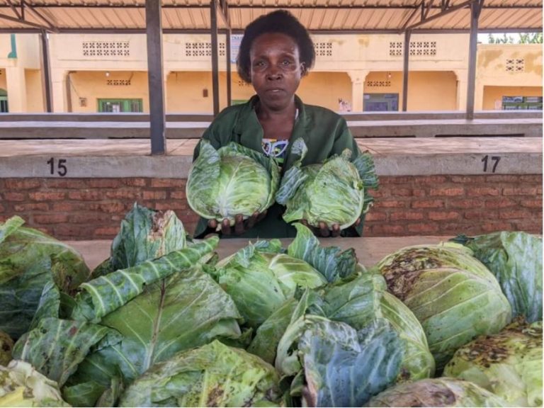 Ngoma: Isoko bubakiwe rya miliyoni 42 ryatumye basezera ibihombo