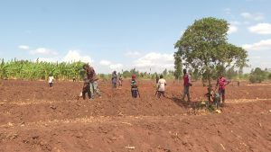 Nyagatare:  Abakoze mu materasi bakangurirwa kuzuza imyirondoro neza bagahembwa