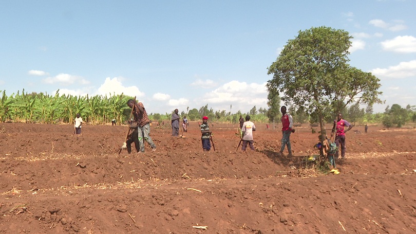 Nyagatare:  Abakoze mu materasi bakangurirwa kuzuza imyirondoro neza bagahembwa