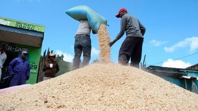 Tanzania igiye kugurisha RDC toni 500,000 z’impungure 