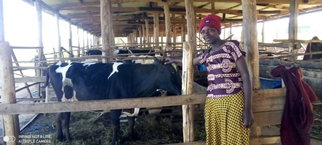 Abavanywe mu manegeka barashimira Paul Kagame wabatuje akabaha n’amata&nbsp;
