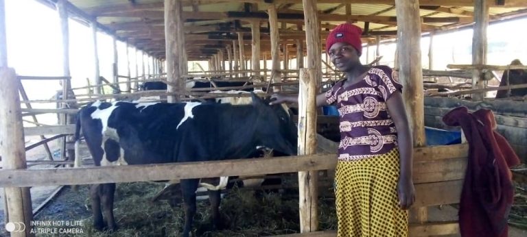 Abavanywe mu manegeka barashimira Paul Kagame wabatuje akabaha n’amata&nbsp;