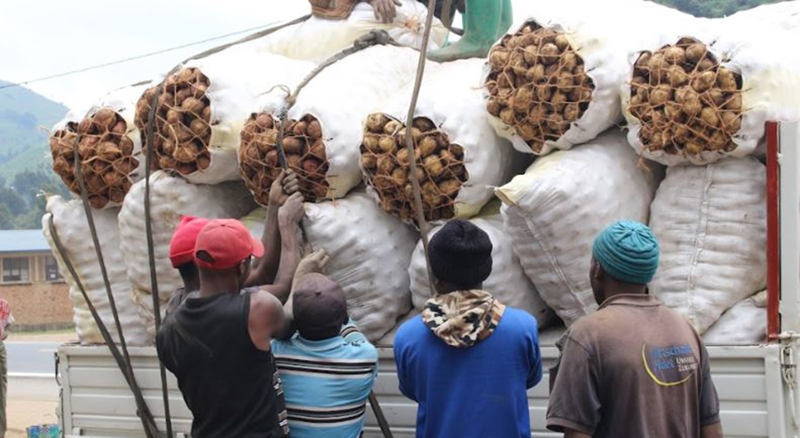 Nyabihu: Babangamiwe na Kirabiranya yadutse mu birayi ikabahombya