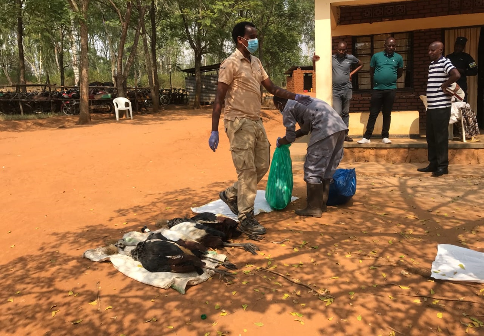 Nyagatare: Ukekwaho kwica imisambi 10 ayiroze yashenguye abaturage