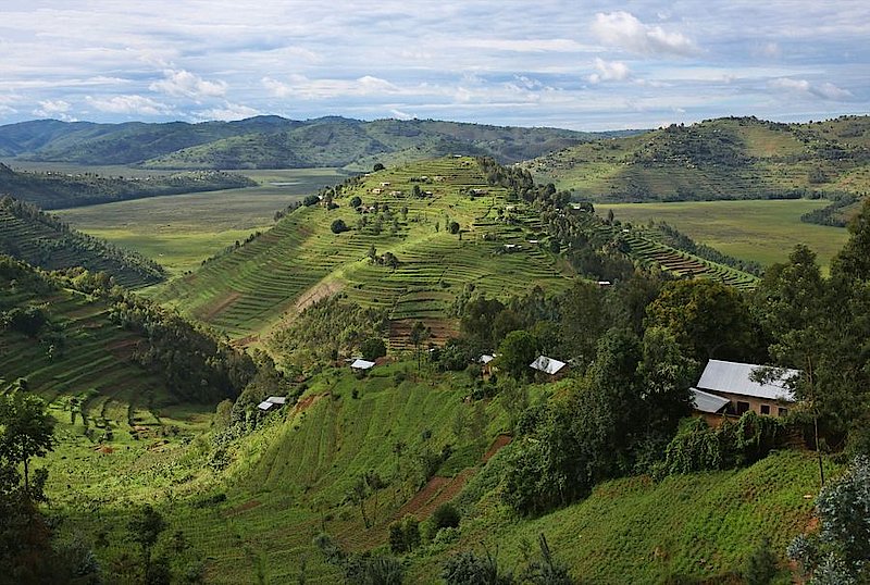 Bumwe mu butaka bwa Leta bugiye gutizwa urubyiruko