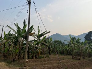Ruhango: Ingo 16 000 zigiye guhabwa umuriro