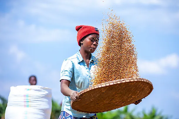 MINAGRI yakomoje ku byiza by’Imurikabikorwa ry’ubuhinzi n’ubworozi