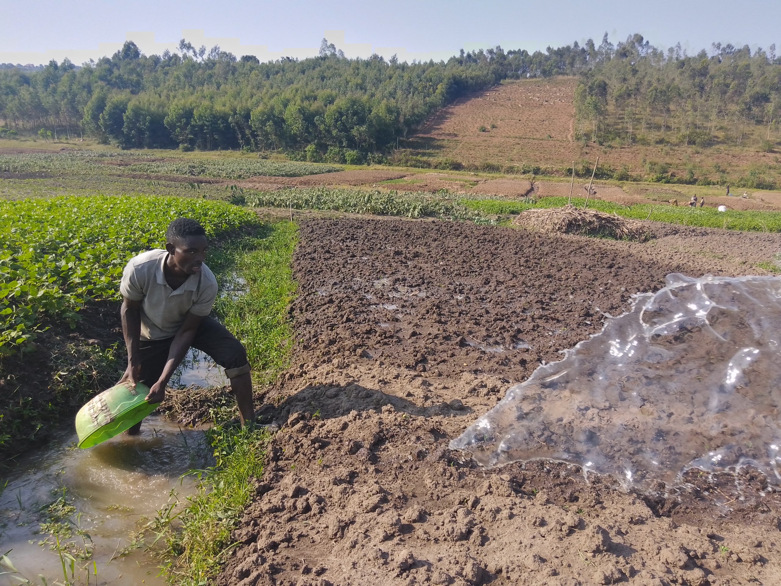 Kamonyi: Bari bazi ko ubuhinzi bukorwa n’abashaka amaramuko